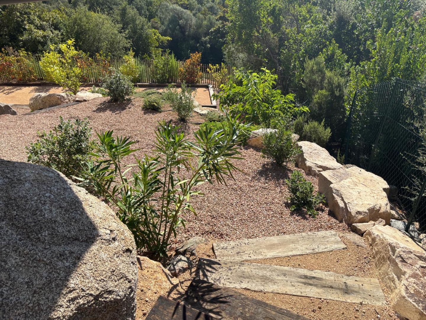 Le jardin méditerranéen en terrasses, ses rochers de granit et ses plantations jeunes.